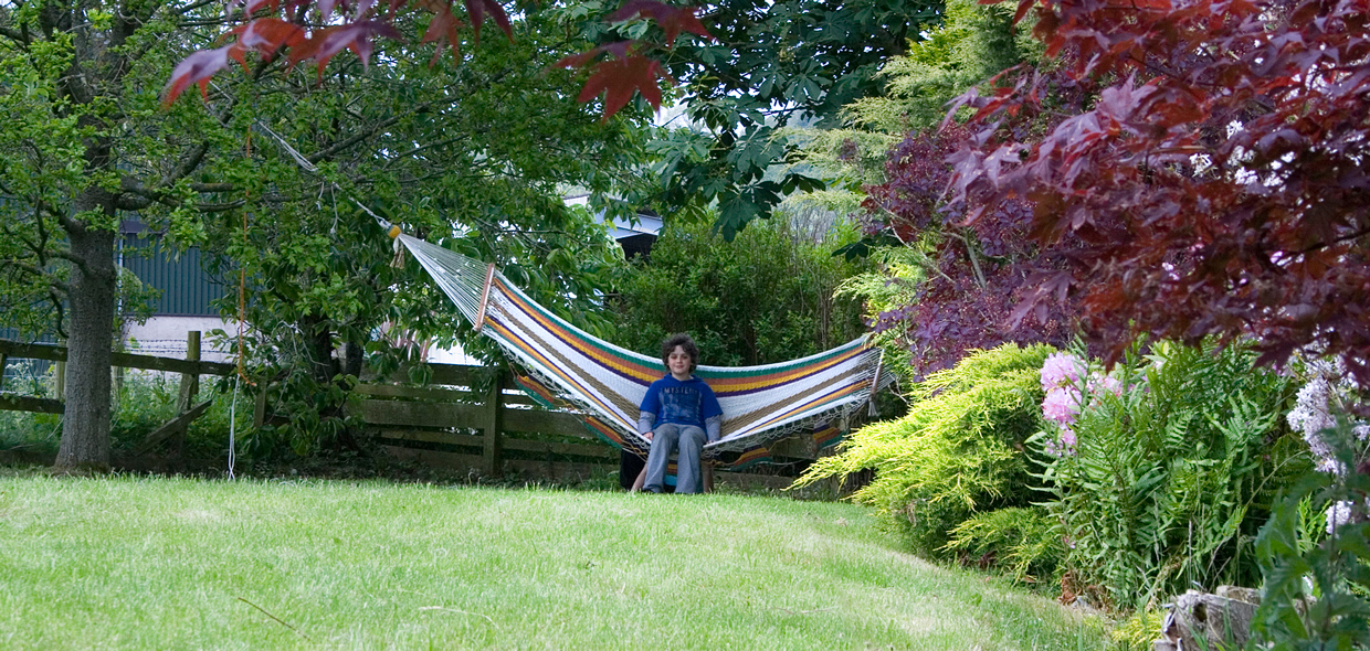 garden and hammock